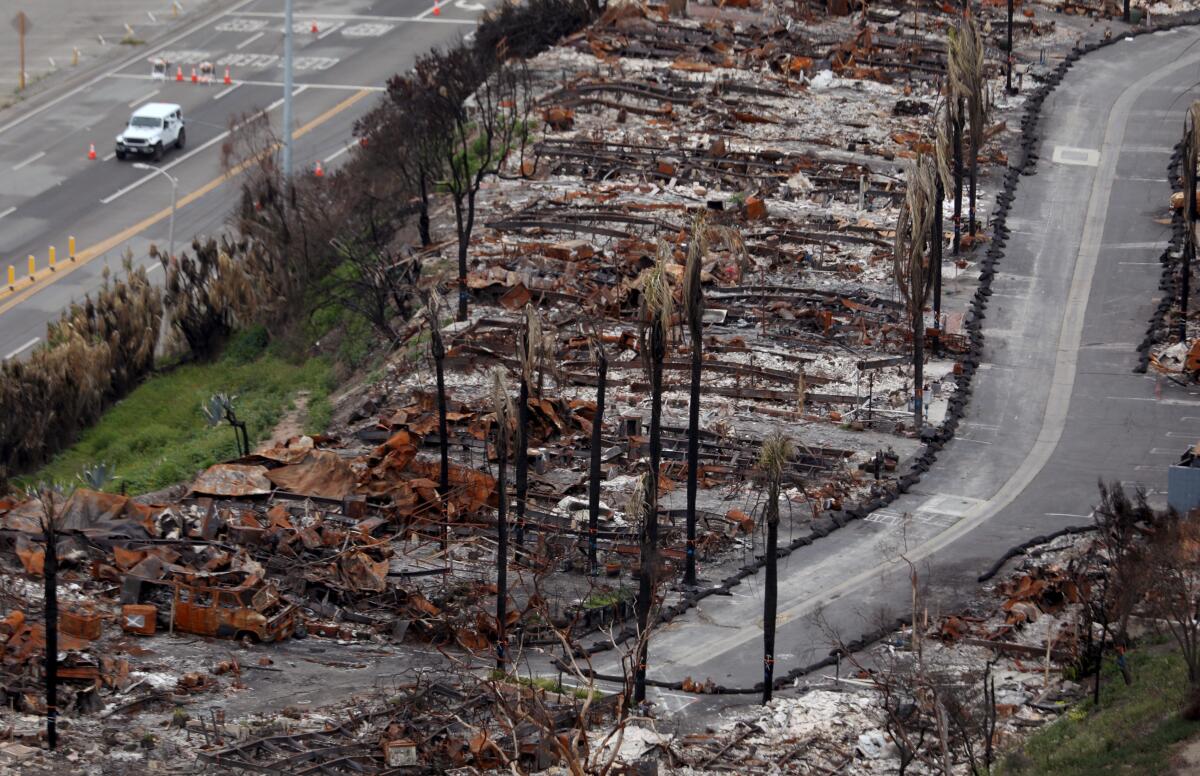 Pacific Palisades Fire Clean-up
